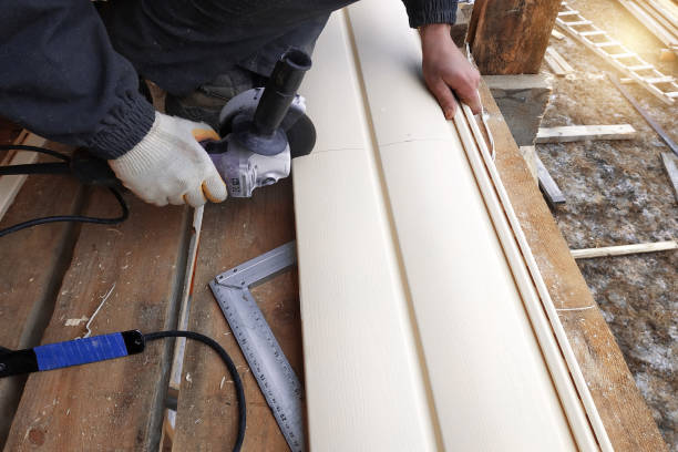 Best Siding for Commercial Buildings  in Galls, IN