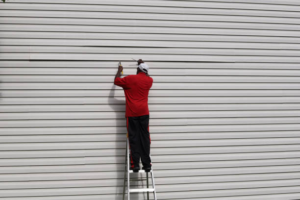 Best Siding Painting and Refinishing  in Galls, IN