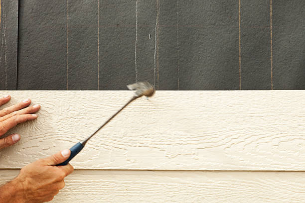 Best Vinyl Siding Installation  in Galls, IN